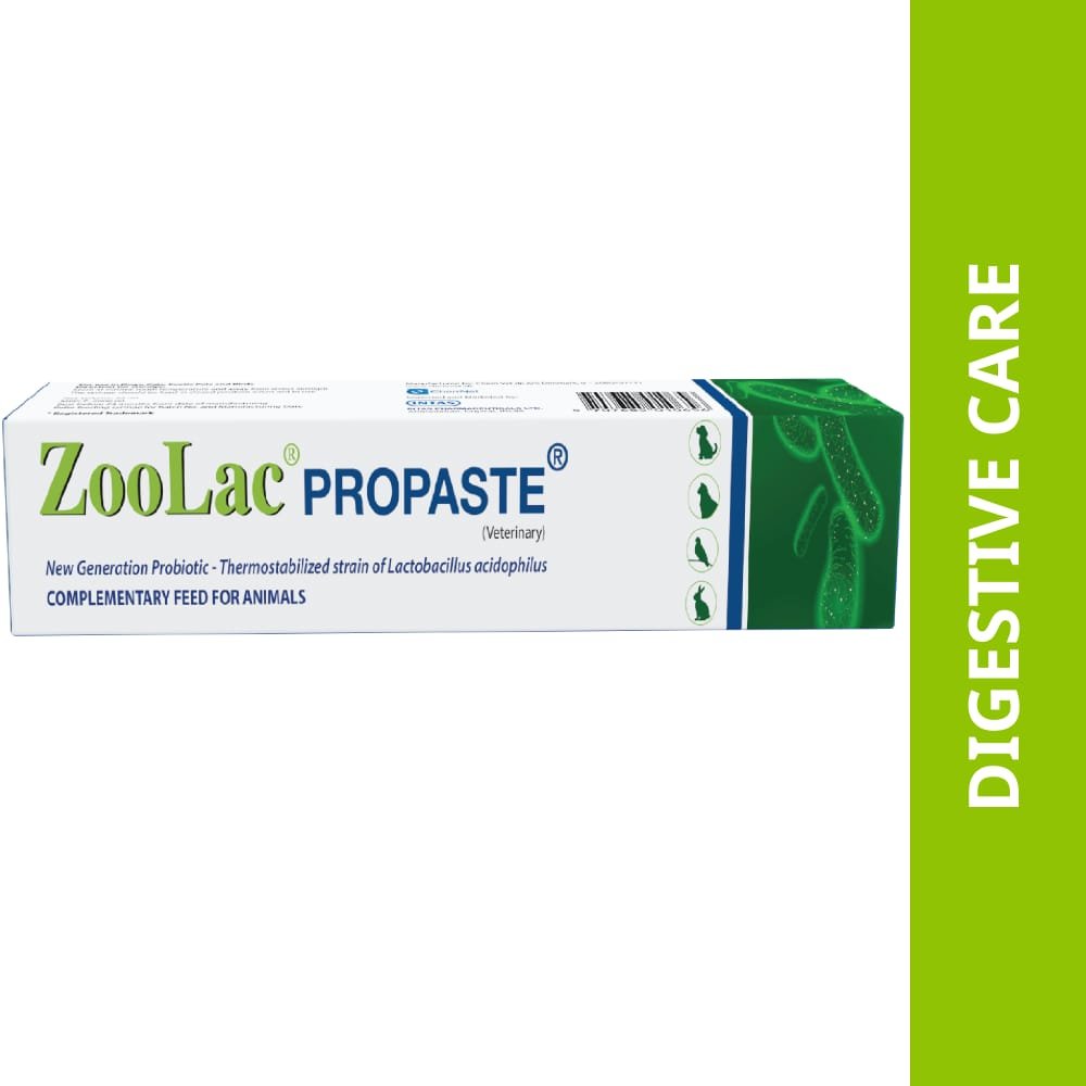Intas zoolac propaste 