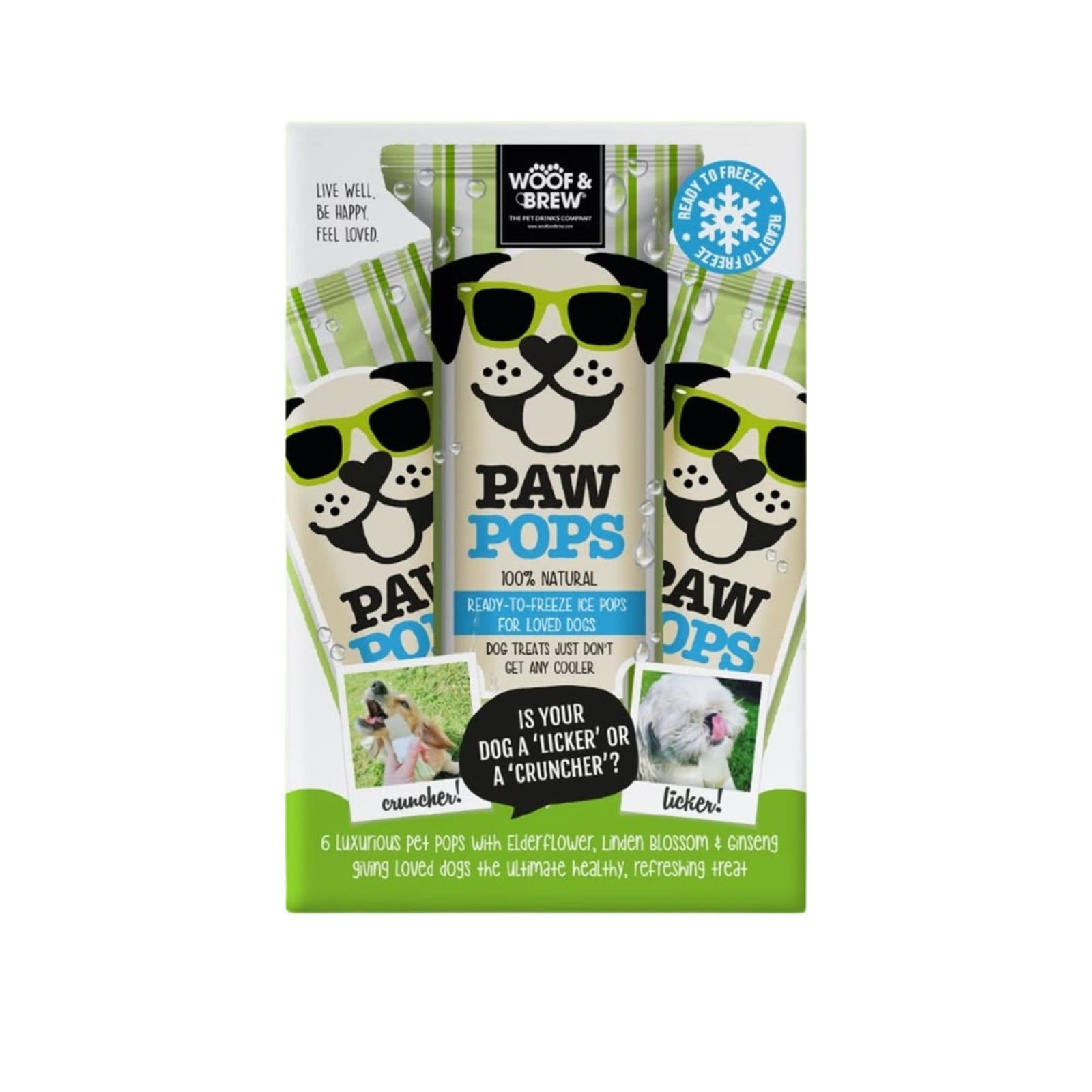 Paw poops ice cream pack of 650 ml